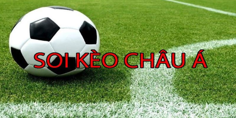 Những mẹo cược đỉnh cao người chơi mới cần biết